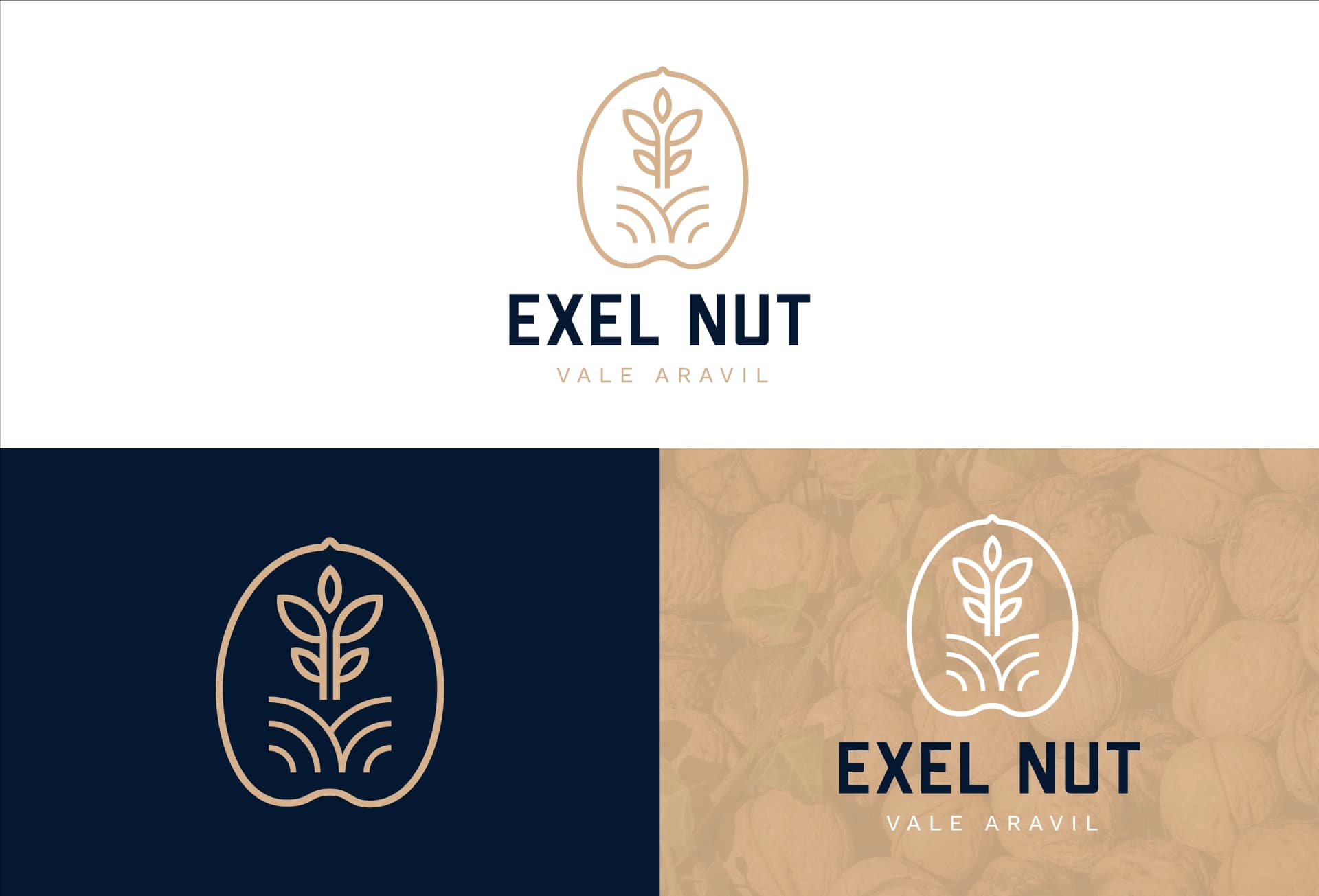 Exel Nut 2