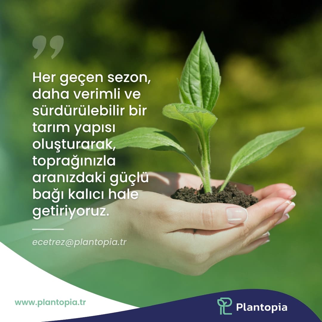 Plantopia 7